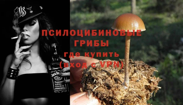 мяу мяу мука Переславль-Залесский