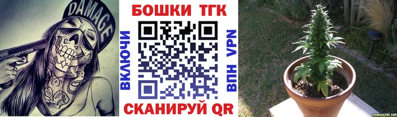Канабис OG Kush  Купить закладки  Удомля 